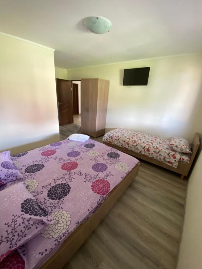 Villa Casa Magda - Oaza De Relaxare Călimăneşti Exterior foto